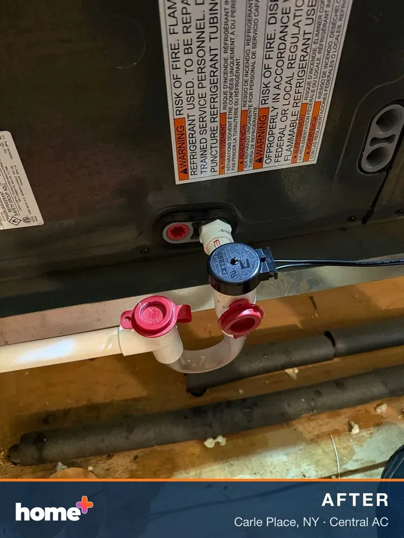 Close-up of the new float safety switch on the trap, wired to shut the system off if water backs up.