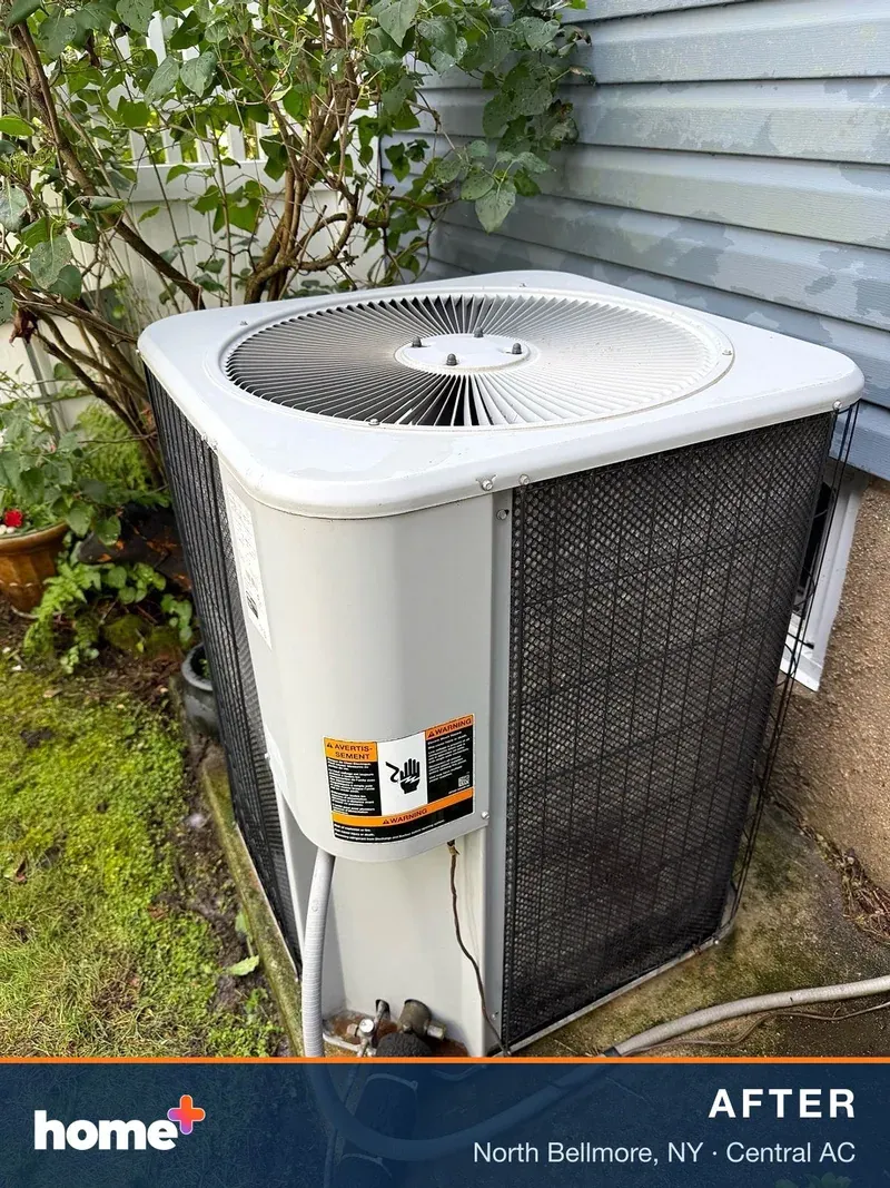 Reassembled and clean: the same condenser, with its mildew-free top and cabinet.