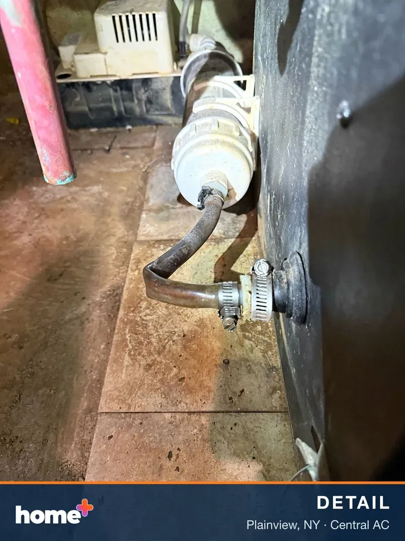 Detailed view of a flexible drain hose secured with a clamp to a larger pipe, with a tiled floor visible underneath.
