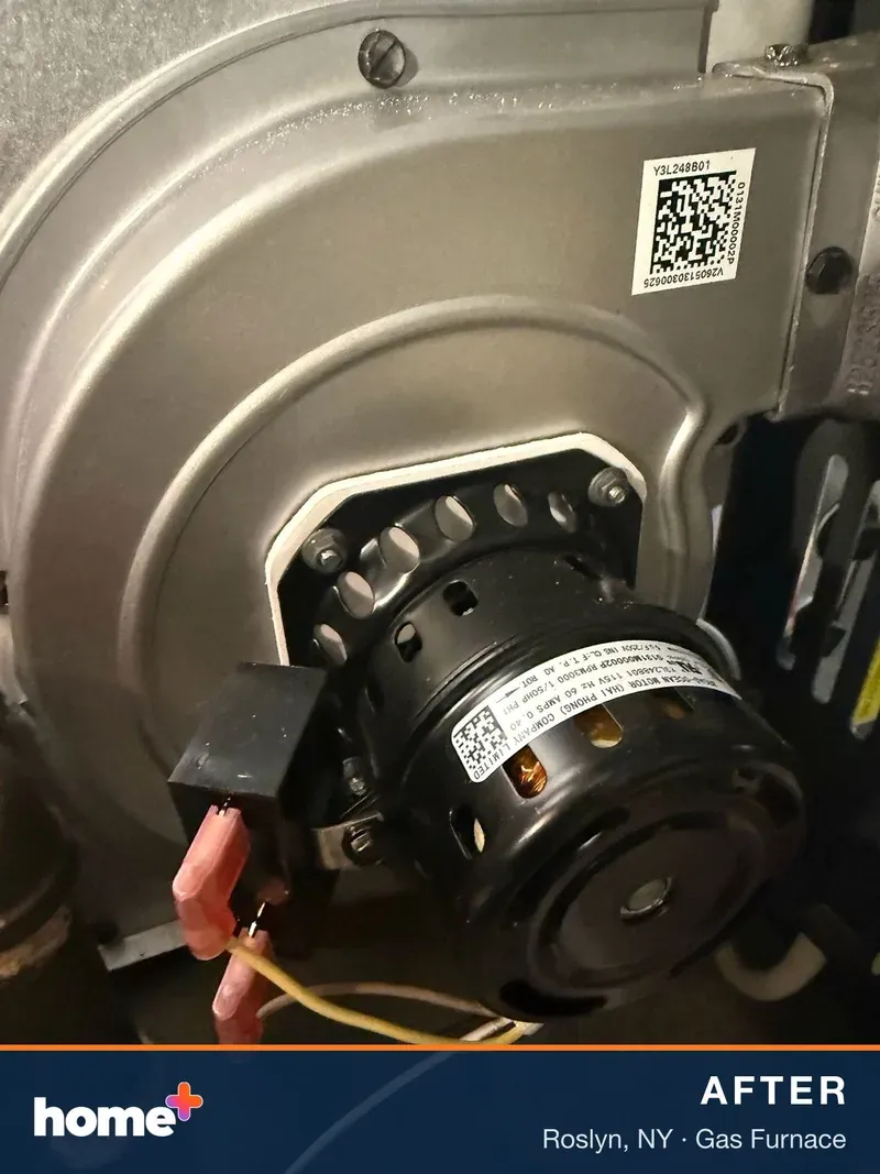 The new draft inducer motor, mounted and wired on the furnace's inducer housing.