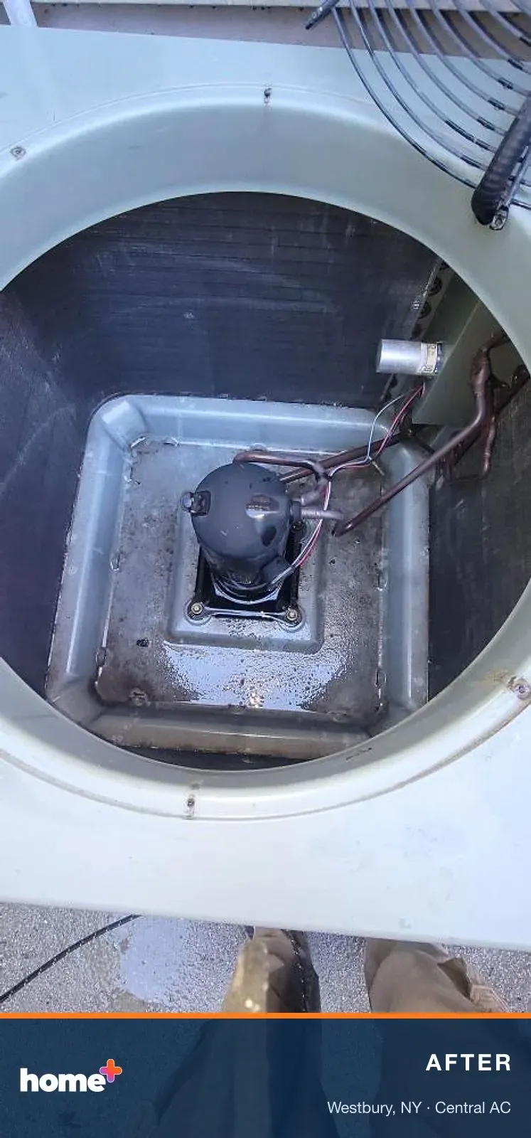 After: the base pan cleared of leaves and rinsed clean around the compressor.